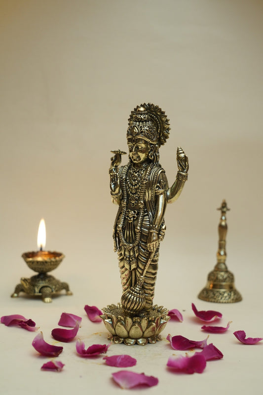 VISHNU LAXMI TYPE 2