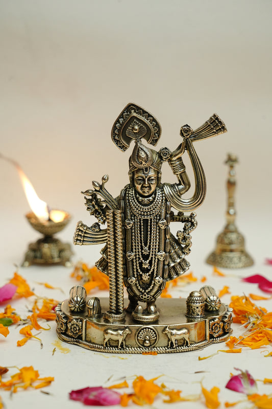 SHRINATH JI IDOL