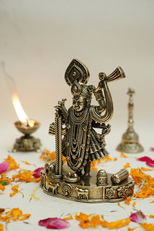 SHRINATH JI IDOL