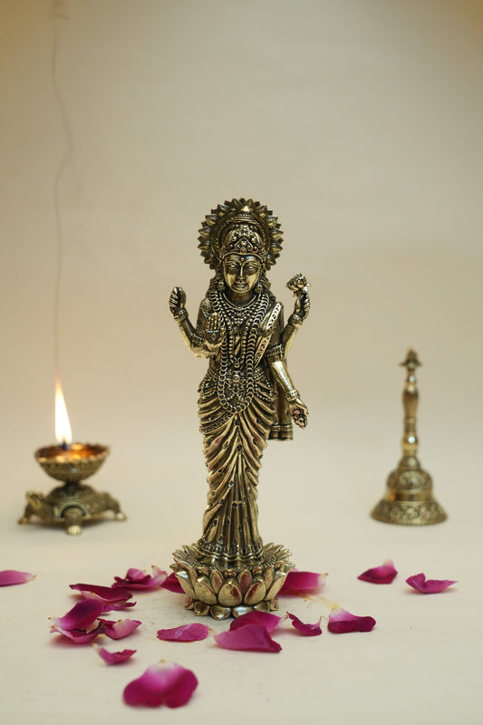 VISHNU LAXMI TYPE 3