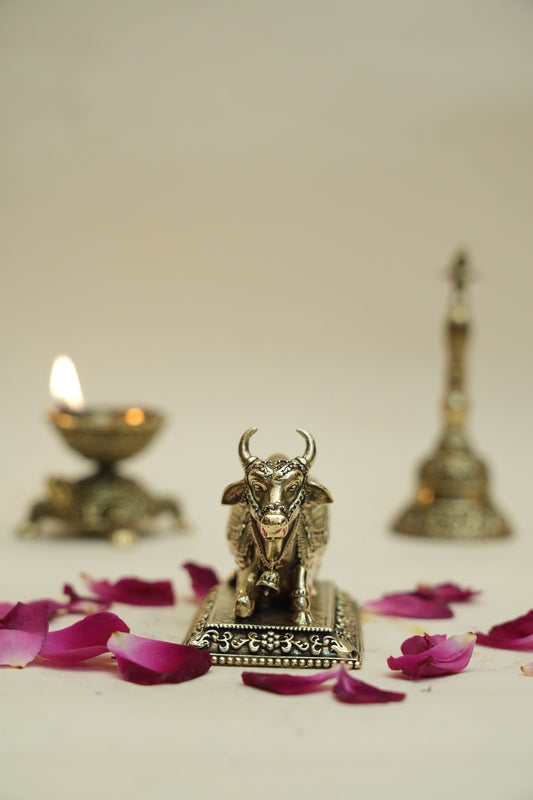 NANDI IDOL