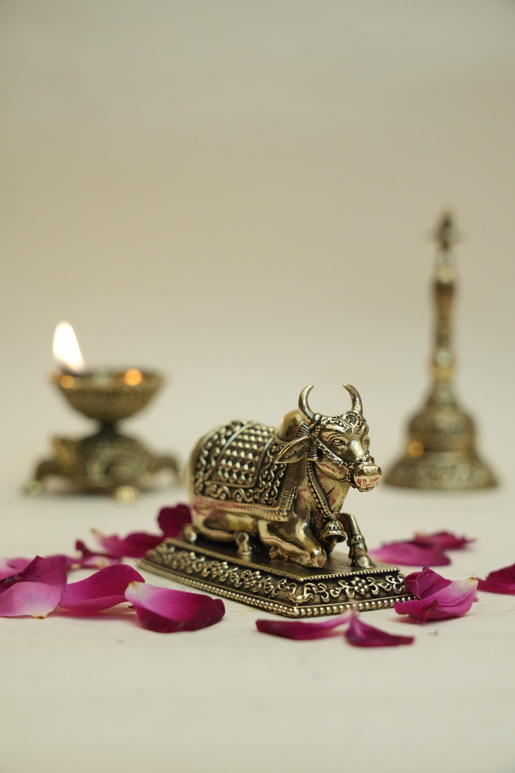 NANDI IDOL