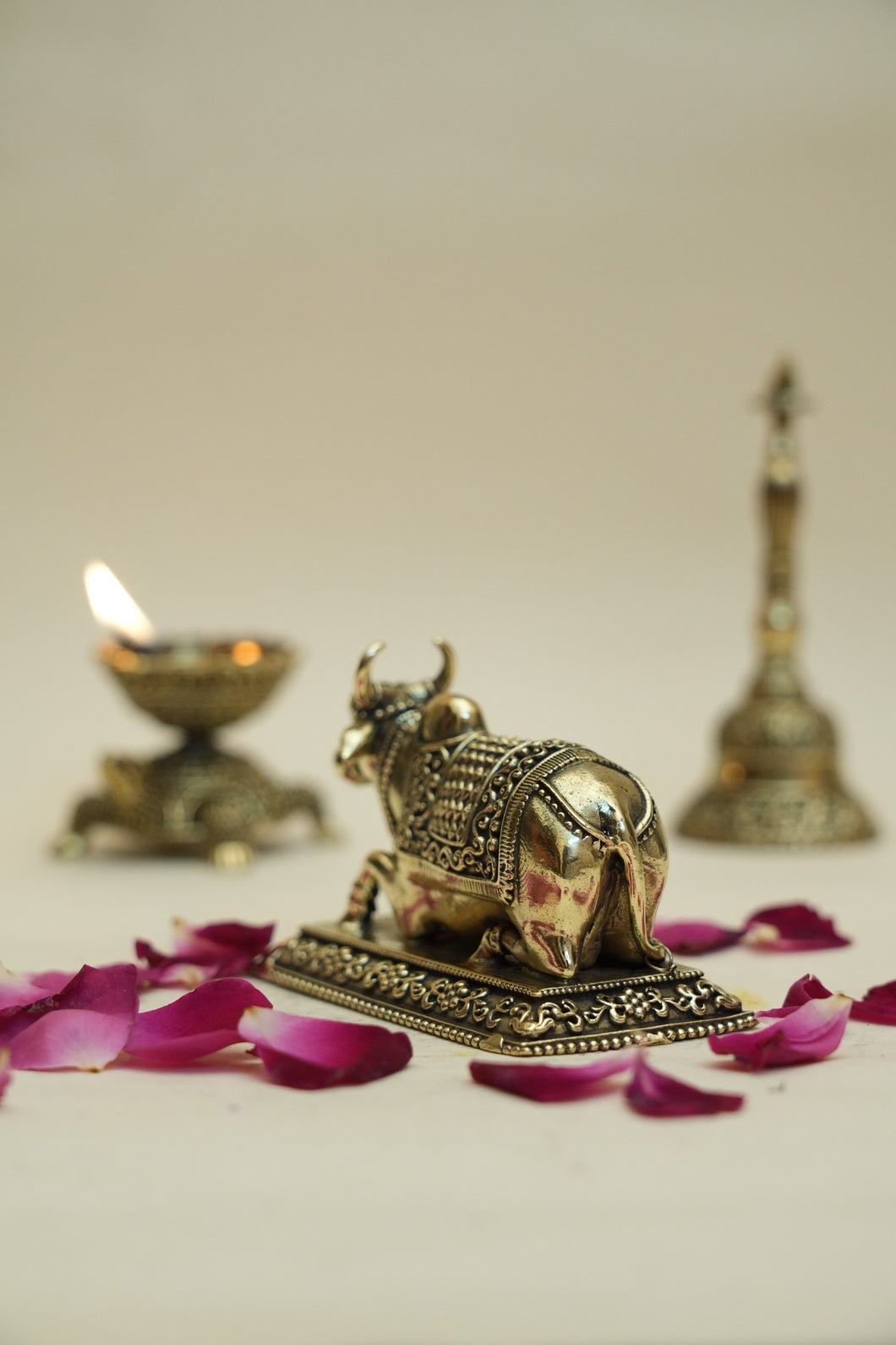 NANDI IDOL