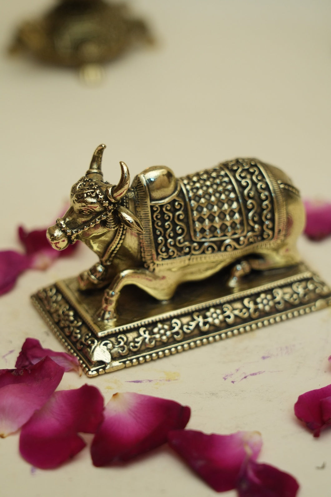 NANDI IDOL
